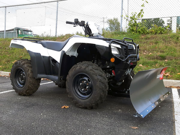 TRX500 Rubicon